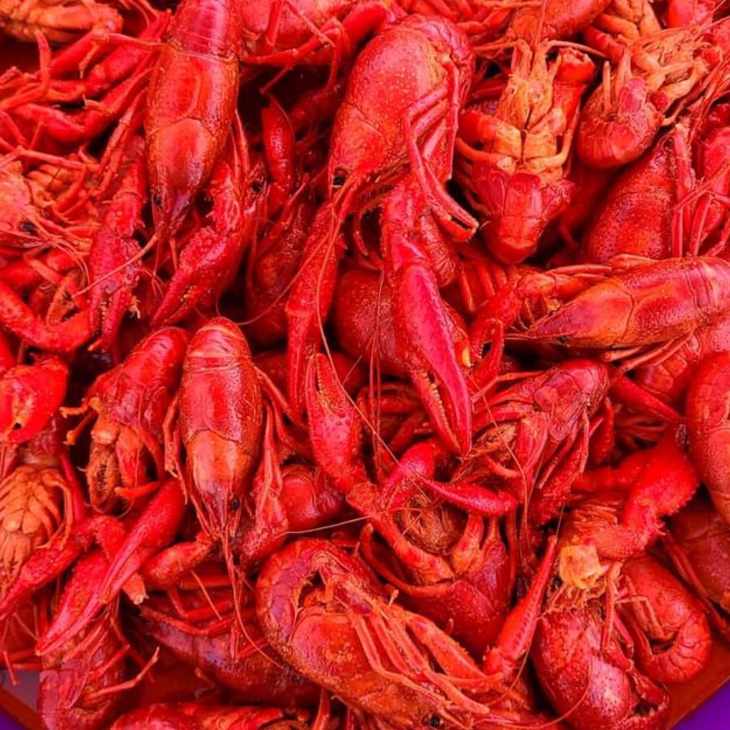 3 lbs for 28 texas crawfish company